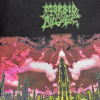 Vintage 1995 Morbid Angel Domination Longsleeve