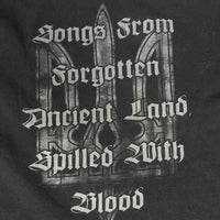 Vintage 2006 Drudkh Flames Turns To Ashes T-Shirt