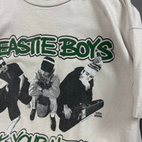 Beastie Boys 1992 Check Your Head Vintage T-Shirt