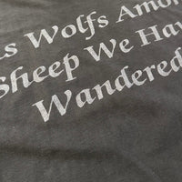 Vintage 1992 Darkthrone Wolfs Among Sheep Longsleeve