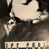 Ice Cube 1992 The Predator Rap Poster