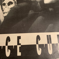 Ice Cube 1992 The Predator Rap Poster