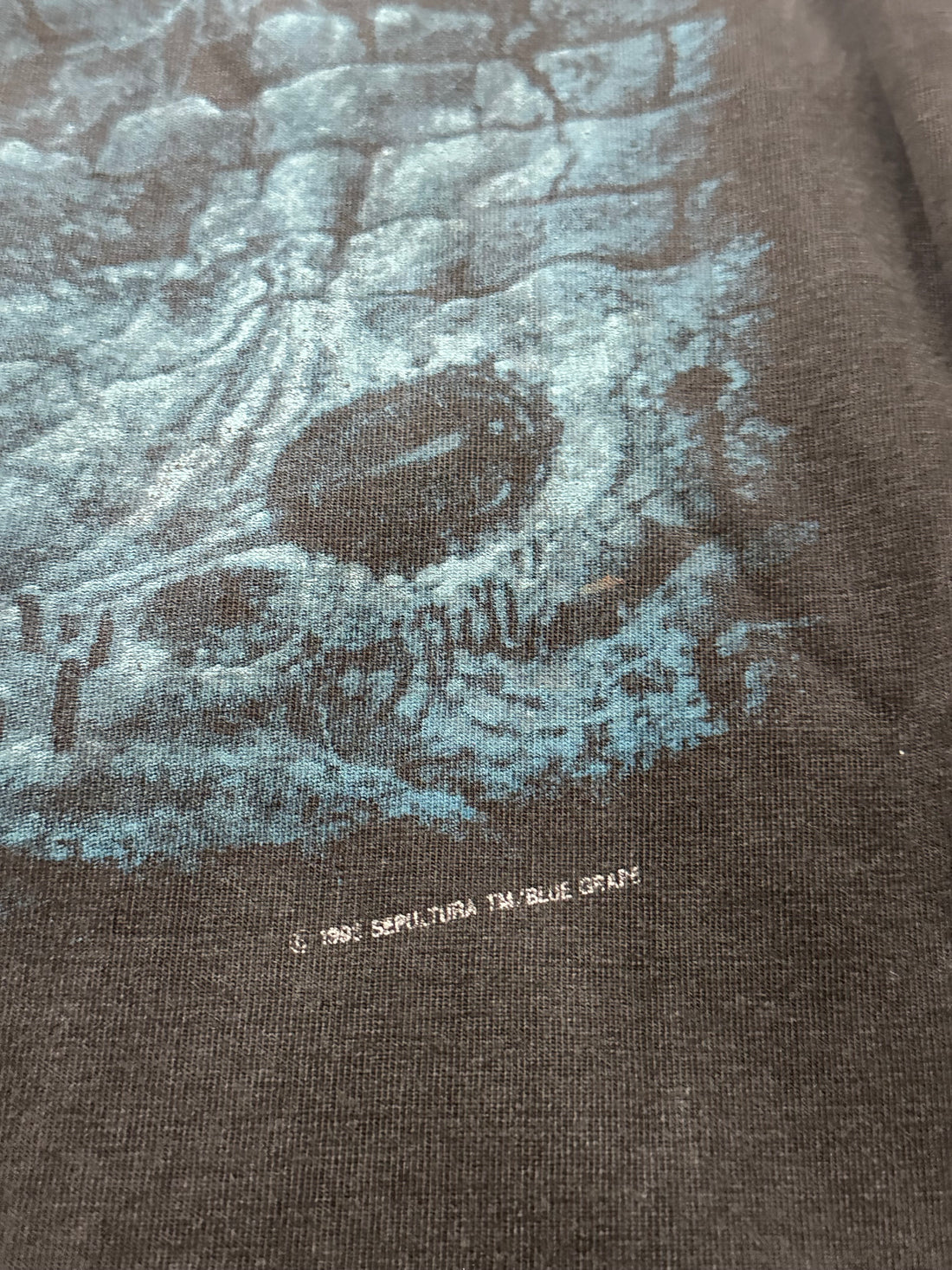 Vintage 1993 Sepultura Chaos A.D. Longsleeve