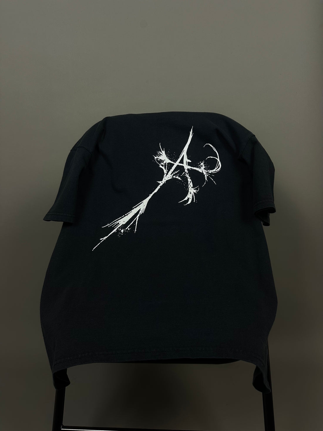 Austere 2009 Old Ashes DSBM T-Shirt