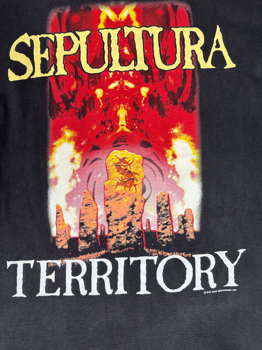 Vintage 1993 Sepultura Territory T-Shirt