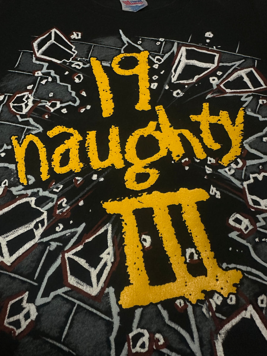Naughty By Nature 1993 Vintage HipHop T-Shirt