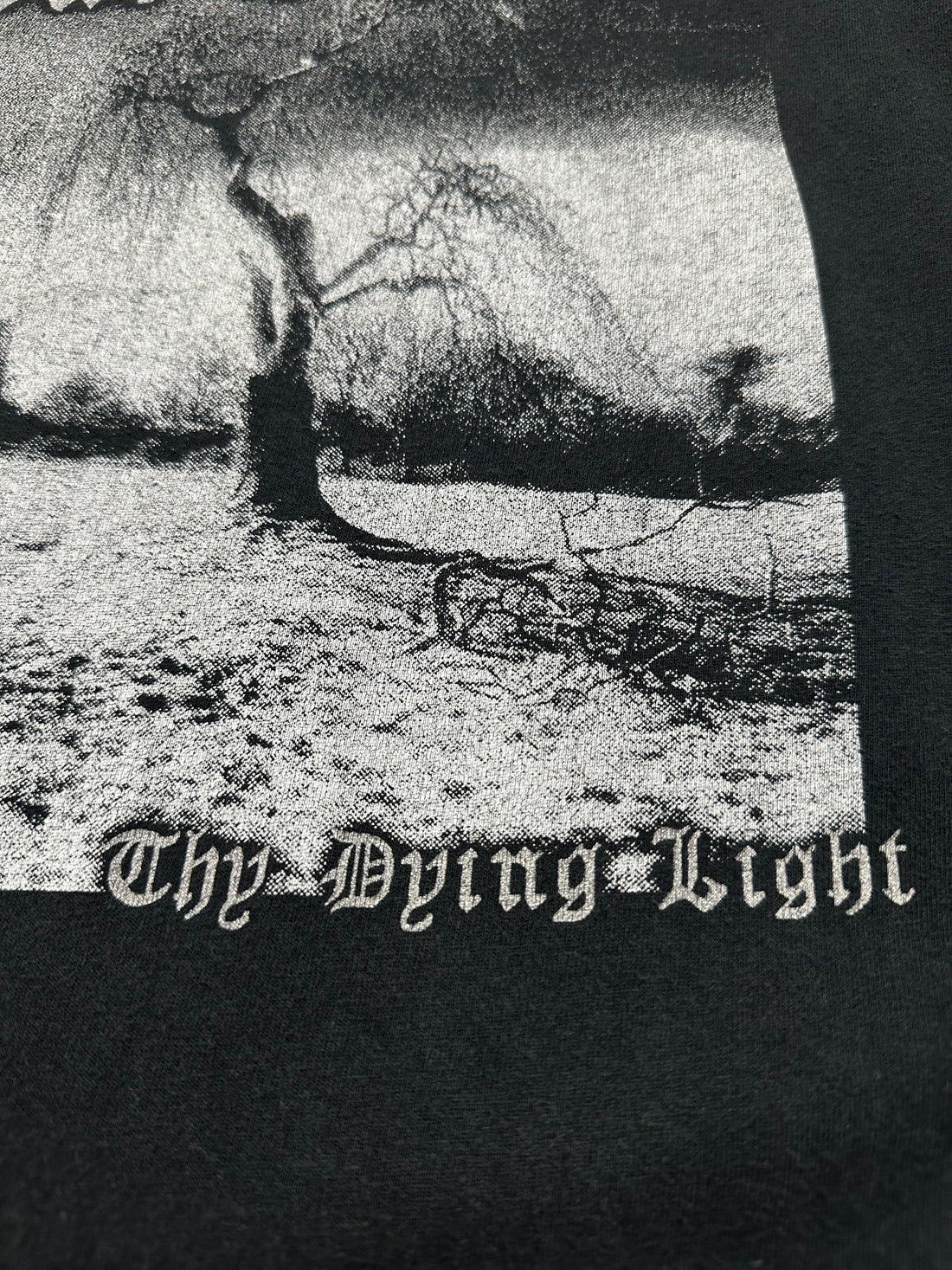Vintage 2000s Judas Iscariot Thy Dying Light Longsleeve