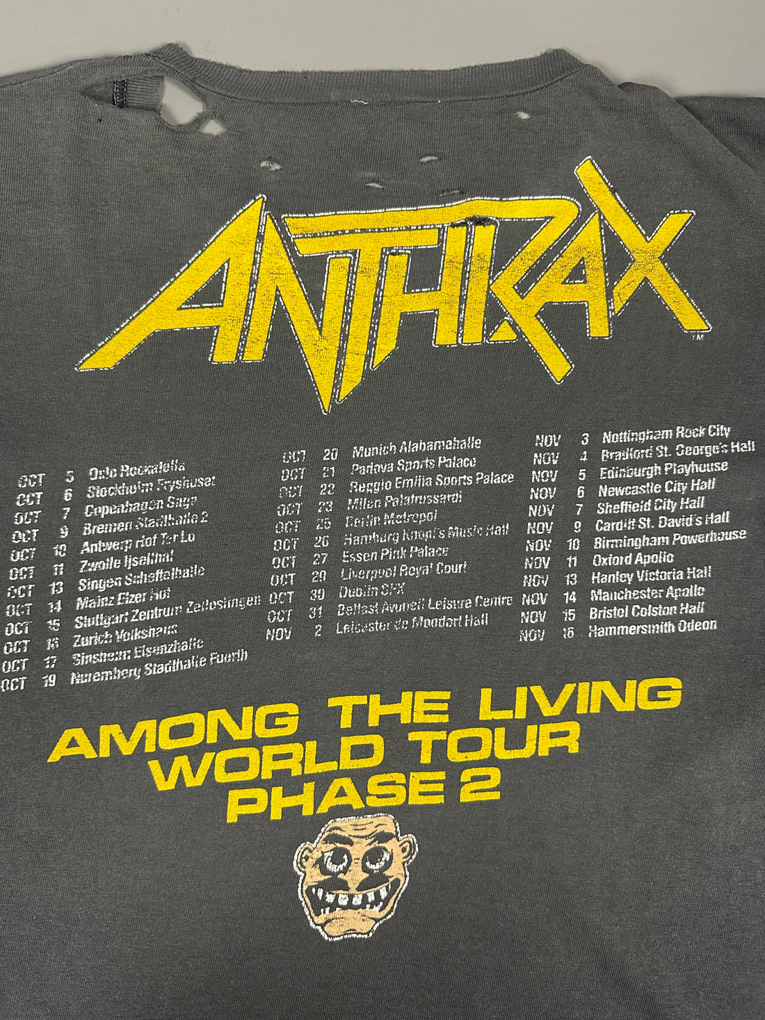 Vintage 1987 Anthrax Among The Living T-Shirt