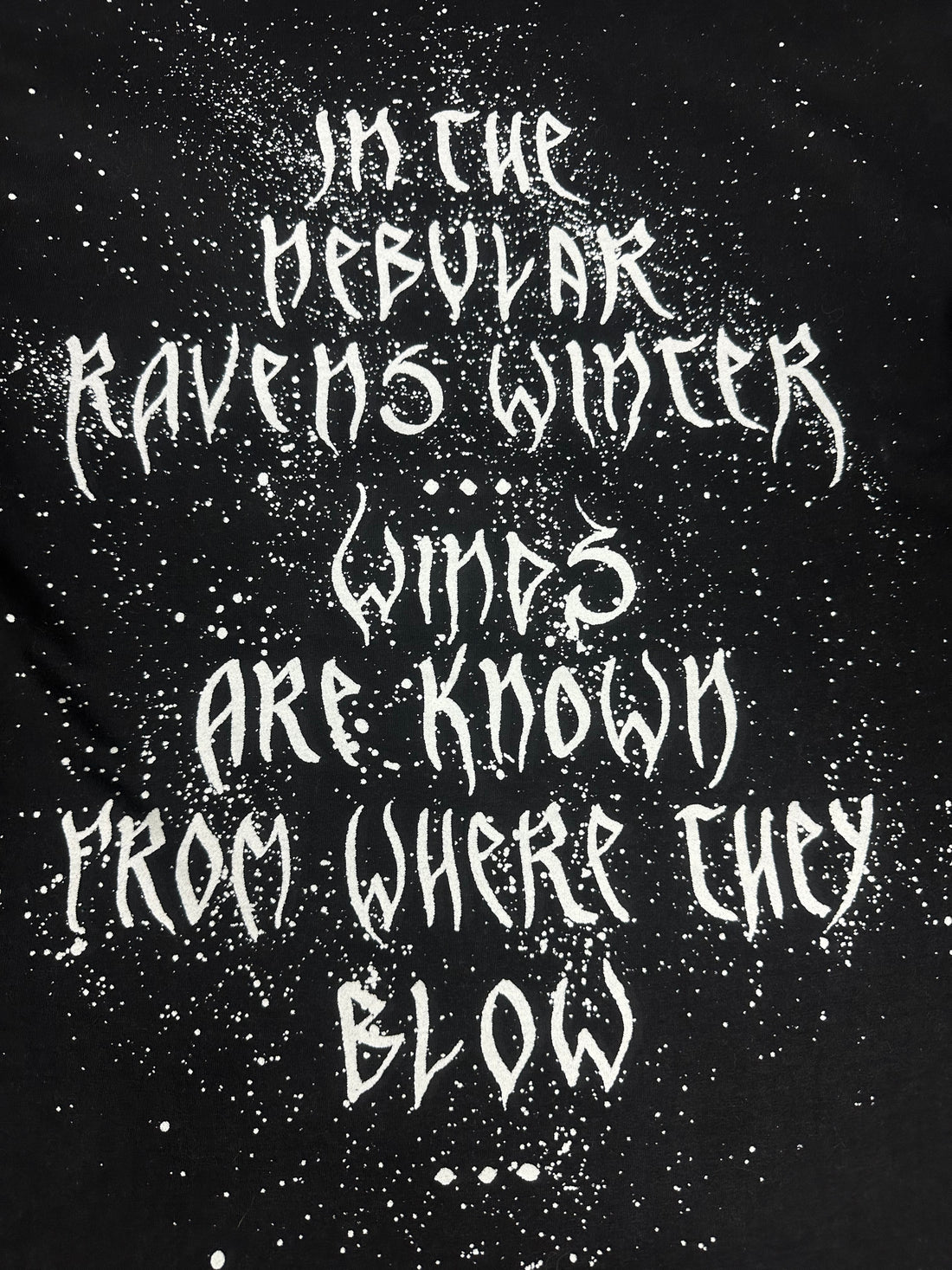 Vintage 1995 Immortal Ravens Winter Longsleeve
