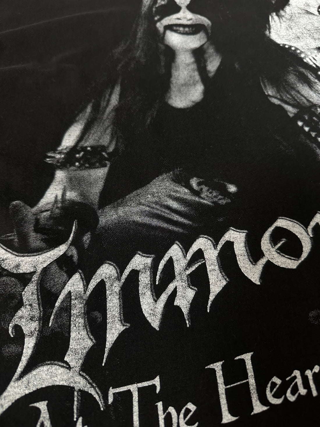Vintage 1999 Immortal Heart Of Winter T-Shirt