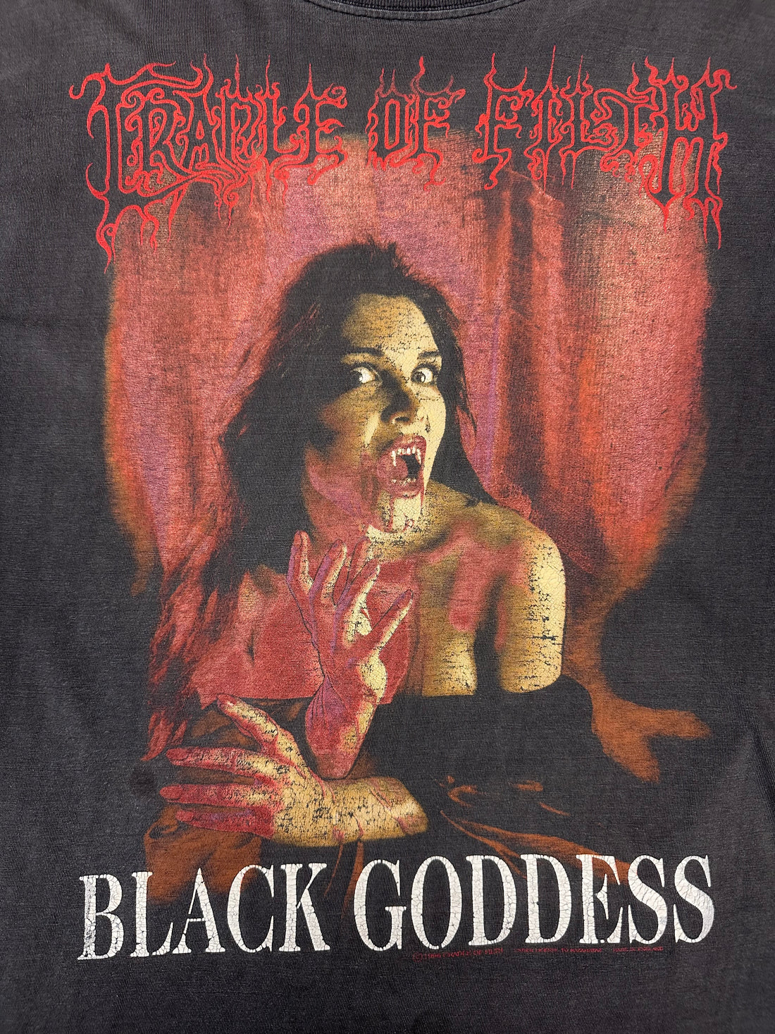 Vintage 1996 Cradle of Filth Black Goddess Longsleeve