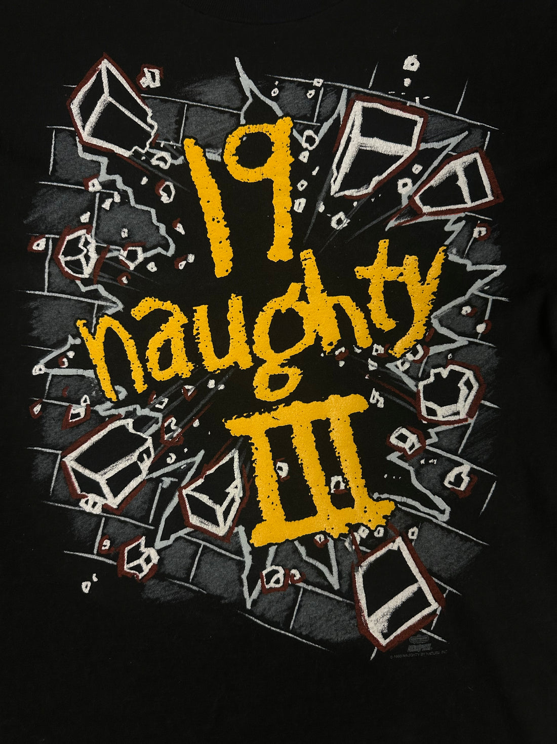 Naughty By Nature 1993 Vintage HipHop T-Shirt