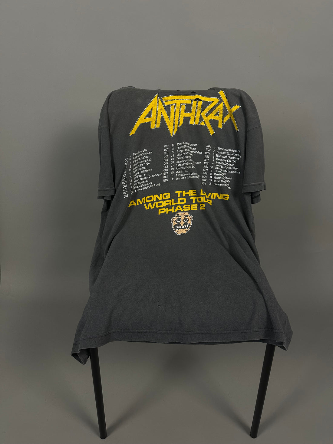 Vintage 1987 Anthrax Among The Living T-Shirt