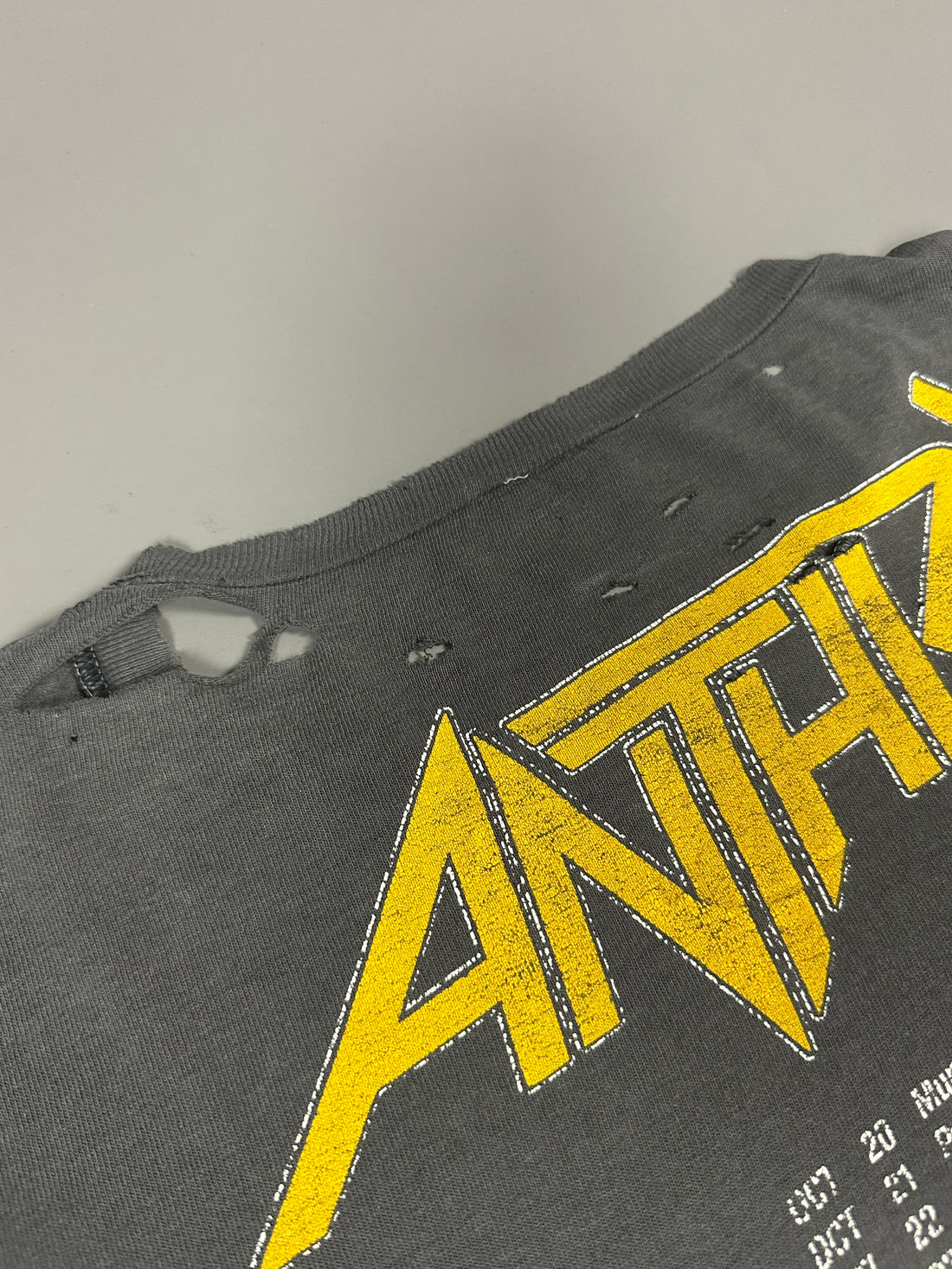 Vintage 1987 Anthrax Among The Living T-Shirt