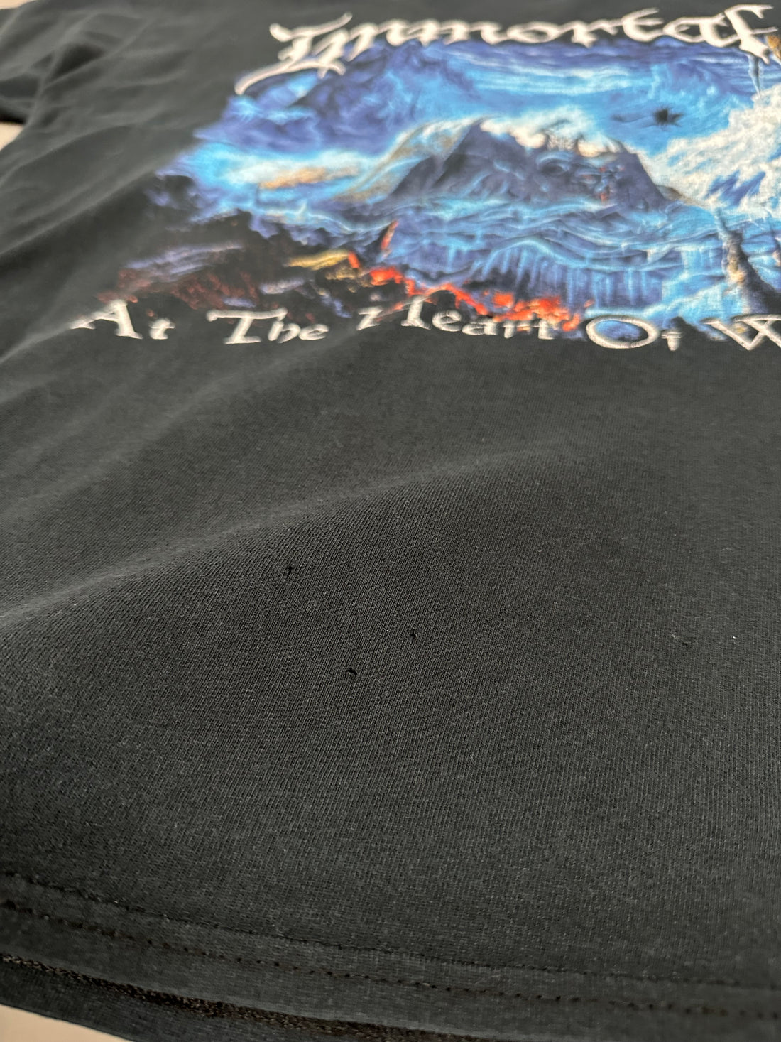 Vintage 2000s Immortal Heart Of Winter T-Shirt