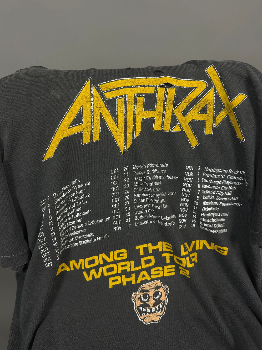 Vintage 1987 Anthrax Among The Living T-Shirt