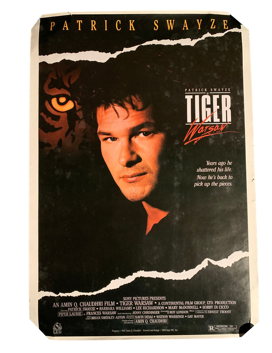 Tiger Warsaw 1988 Vintage Movie Poster