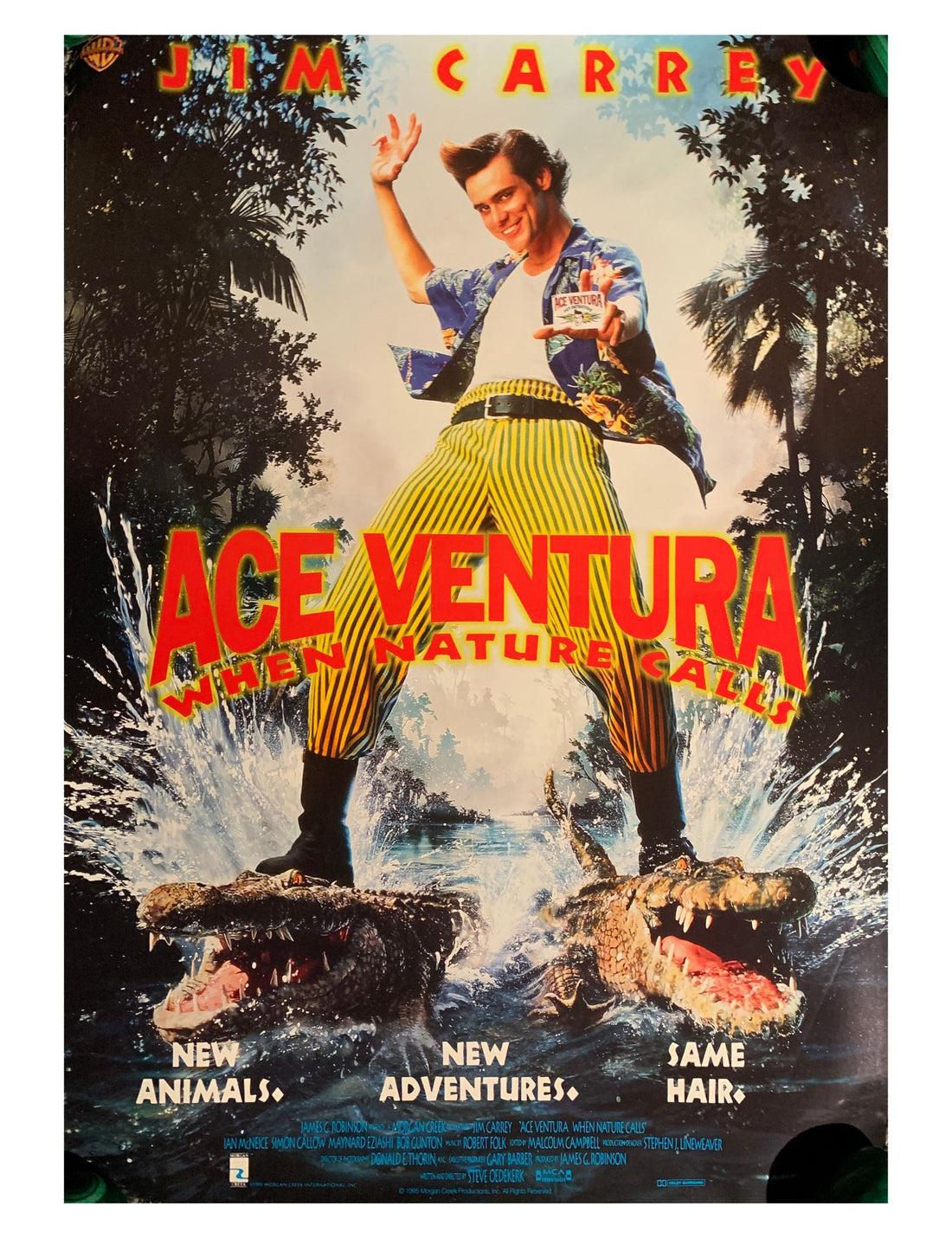 Ace Ventura 1995 Movie Poster