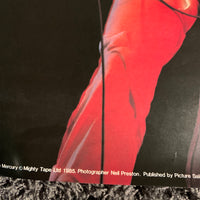 Freddy Mercury 90s Music Poster