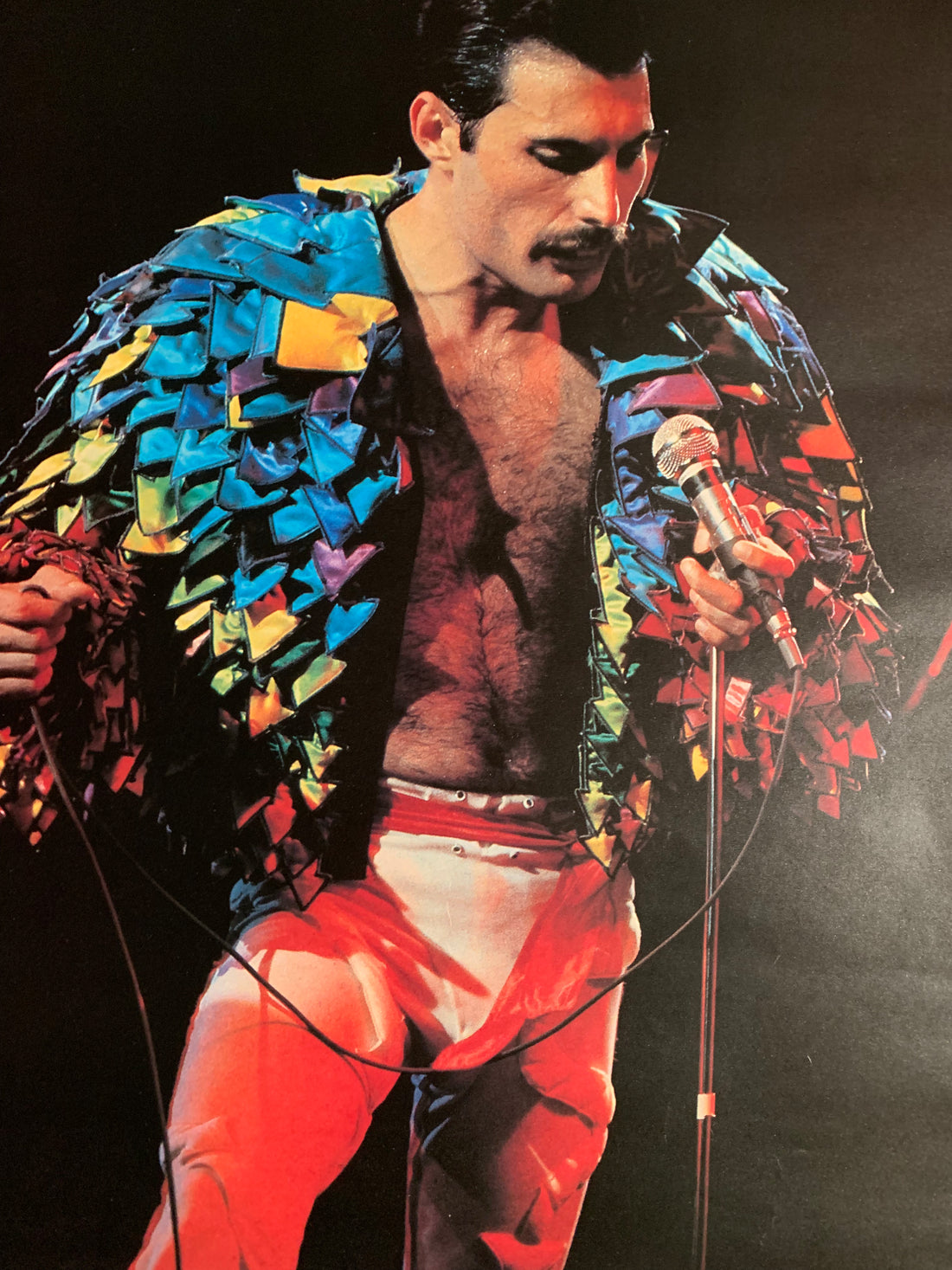 Freddy Mercury 90s Music Poster