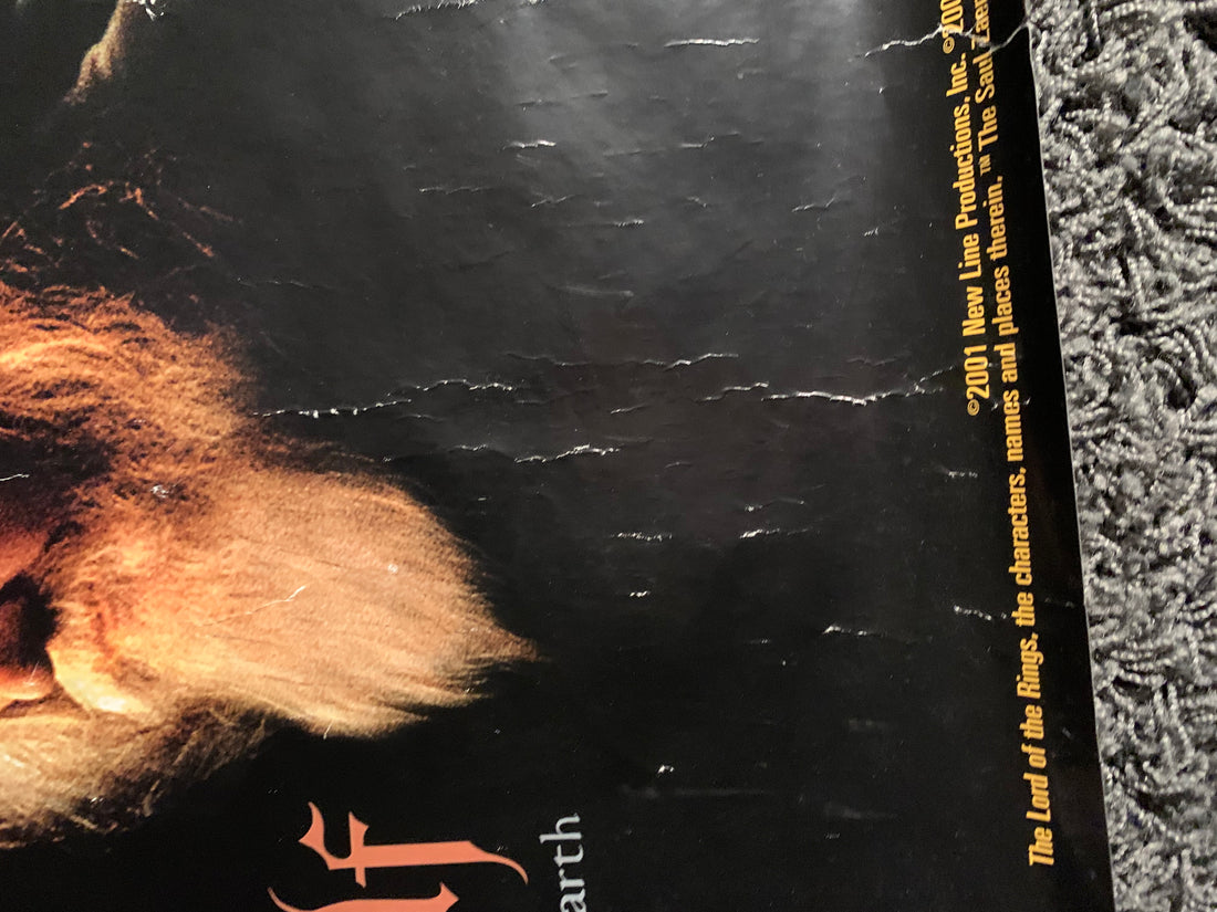 Lord Of The Rings 2001 Movie Poster