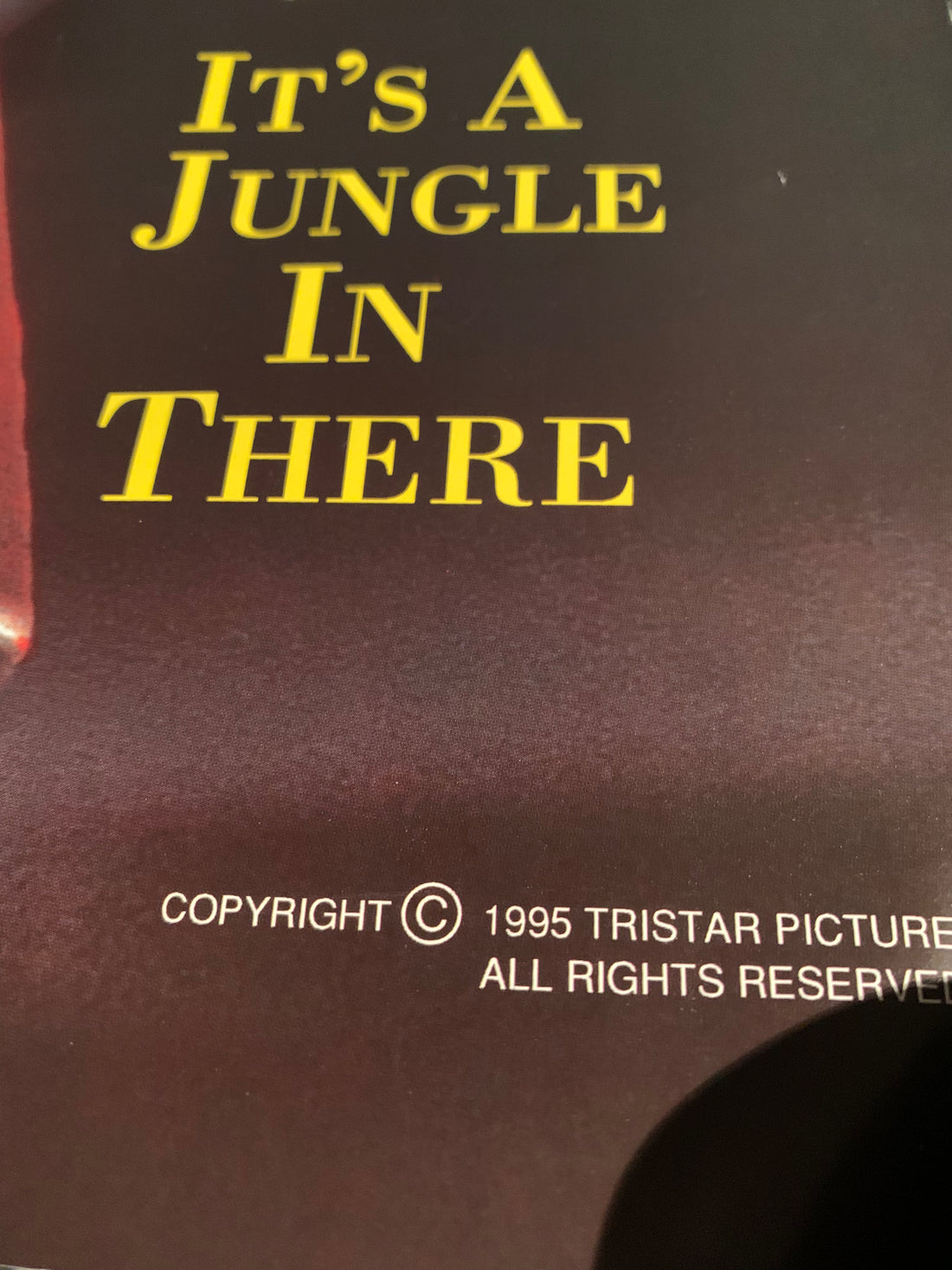 Jumanji 1995 Robin Williams Movie Poster